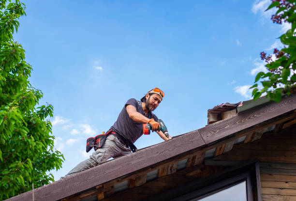 Best Asphalt Shingles Roofing  in Treasure Lake, PA